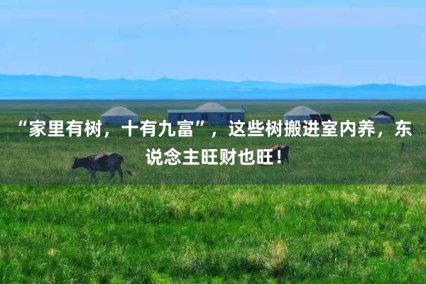 “家里有树，十有九富”，这些树搬进室内养，东说念主旺财也旺！