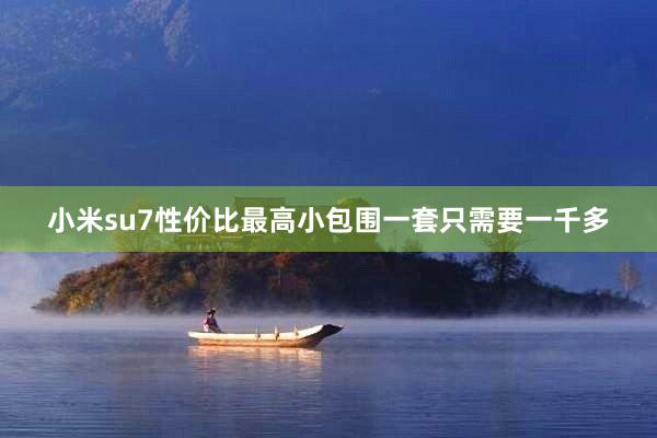 小米su7性价比最高小包围一套只需要一千多