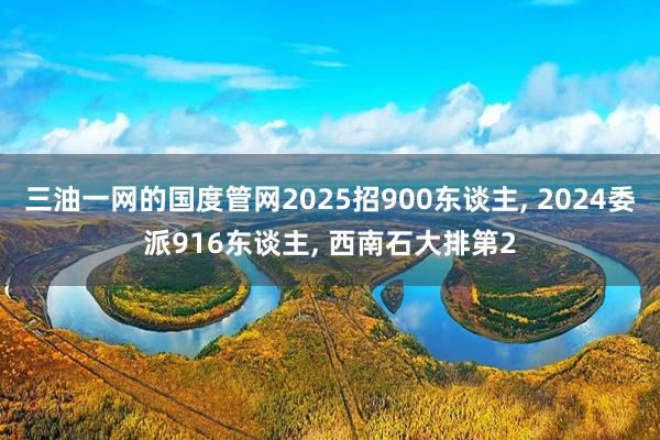 三油一网的国度管网2025招900东谈主, 2024委派916东谈主, 西南石大排第2