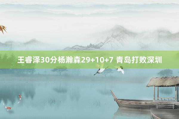 王睿泽30分杨瀚森29+10+7 青岛打败深圳