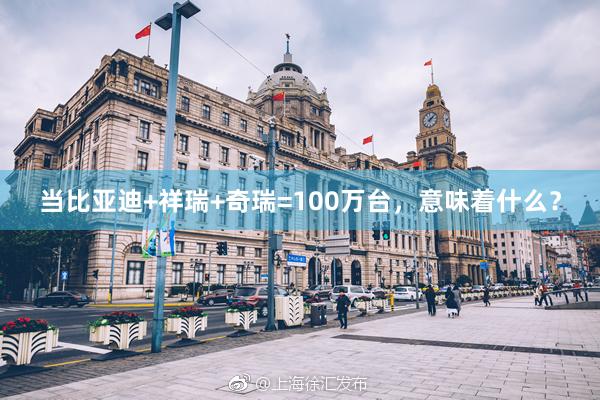 当比亚迪+祥瑞+奇瑞=100万台，意味着什么？